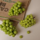 영이네농장 이미지