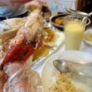 토토식당 | 보홀 맛집 3곳 솔직후기 🍽️ 몬스터크랩·빠우·토토에페피노 “여기만 가도 성공”