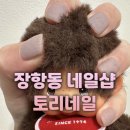 토리샵 | 장항동네일샵 토리네일 정발산, 모카 털실 신상 가을 네일 후기