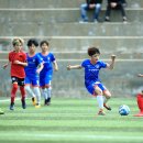 [경기화보]초등부-충북권역-0420-청주FC VS 청주FCK-청남초등학교-1번경기 이미지