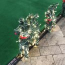 칠성로-1 이미지