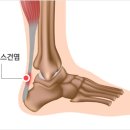 21세기연세의원 이미지