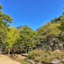 주왕산 탐방로 주차장 이미지