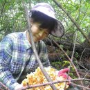 장독대식당 이미지