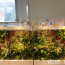 정화어린이집 이미지