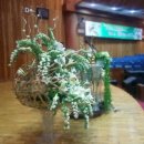 대전삼성성결교회 이미지