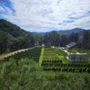 수림목장 이미지