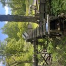 McAfee Knob, Blue Ridge, VA (05/13/26) 이미지
