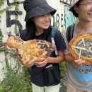 25/09/08 &#34;생명 앞에 중립 없다&#34; 새만금 신공항 취소 인용 촉구 - &#39;새,사람 행진단&#39; 260킬로미터 걸어 서울행정법원 도착 이미지