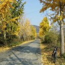 중앙초등학교화남분교 | MTB 임도라이딩 코스 소개