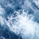 언더그레이스(UNDER GRACE) | 84일의 침묵 속에서