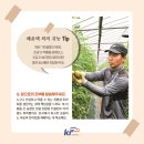 배씨농장 이미지