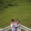 우정목장 | 제주 마사회 목장 5인 가족스냅, 7월 초 실시간 현황 및 30분 촬영 후기