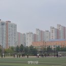 새2 경향신문