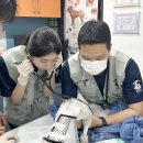 금강종합동물병원 이미지