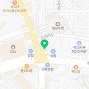 티나펫 강아지분양 고양이분양 전주본점 이미지