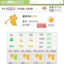 소노베스트 | 소노펠리체CC델피노 후기 아웃, 인코스 2025년 11월중순 라운딩