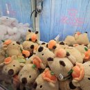 인형뽑기놀이터 이미지