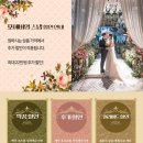 영스냅 - 강남구 논현로164길 16 | 영스냅