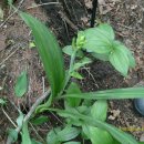 술상경로당 이미지