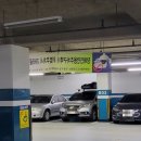 율이파파 이미지