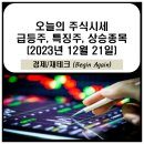 ㈜그린애드랩스코리아 | 12월 21일 주식시세 특징주(틱톡샵 관련주, 광고 관련주, 아기상어 더핑크퐁컴퍼니 관련주, JP모건 헬스...