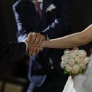 지안축사 | Wedding_14 더블트리 바이 힐튼 판교 본식 후기