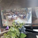 늘푸른식당2호점