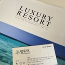 신혼여행 리조트 예약 비교 및 수원 팜투어 계약 후기(feat. 여행산책, 투어민, 허니문리조트, 트레비아...