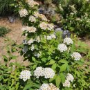 주교청소년자유공간 이미지