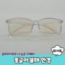 동글이 이미지