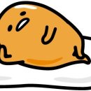 화이트필의원 이미지