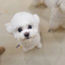 개러리아 송파점 이미지