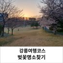 강릉종합운동장 풋살경기장