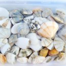 주문진해수욕장 주차장 화장실 이미지