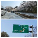 보은삼거리 이미지