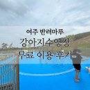펫아울렛(수영강변점) | 여주 갈만한 곳 반려마루 여주 강아지 수영장 예약 이용 후기