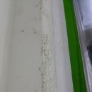 힐스테이트푸르지오아파트 이미지