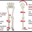 짐앤테라피 피티 이미지