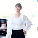 정연