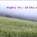 꽃피는언덕 이미지