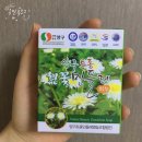 양구흰민들레 | 여드름비누 민감성피부비누 : 양구토종흰꽃민들레비누 민들레꽃비누