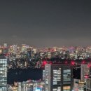 도쿄 - 천안시 서북구 성정공원5로 10-9 | 도쿄