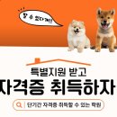 희망 애견 미용실 이미지