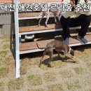 르라움 이미지