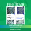 플러피비 네이버블로그