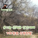 더드림팜 이미지