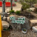 김천에이스실내테니스장 | 김천실내테니스장&amp;김천오토캠핑장 후기