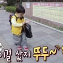 소락 이미지