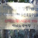 비롯 이미지